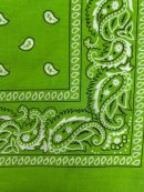 Bella Ballou - FILUCA SCARF Æblegrøn