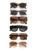 Ichi Accessories - IAPHINA SU