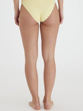 Ichi Accessories - IACAMI BR SW